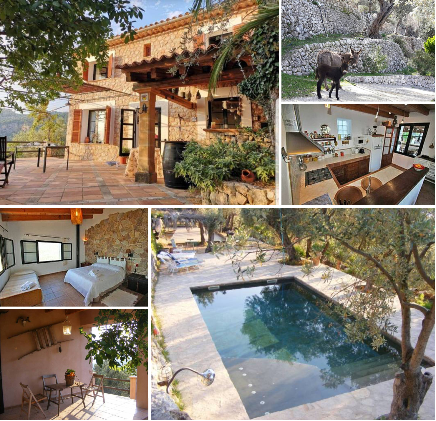 Photo Collage Mountain House with Link to Mountain House